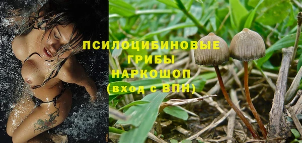 a pvp Аркадак