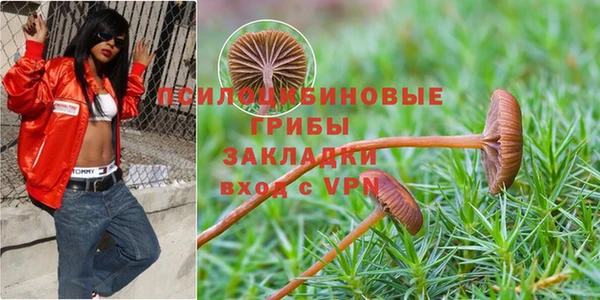 MDMA Premium VHQ Арсеньев