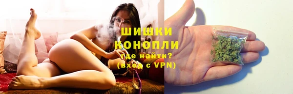 a pvp Аркадак